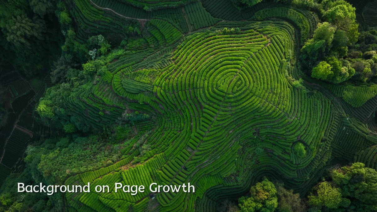 Background on Page Growth
