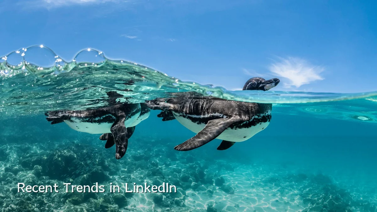 Recent Trends in LinkedIn