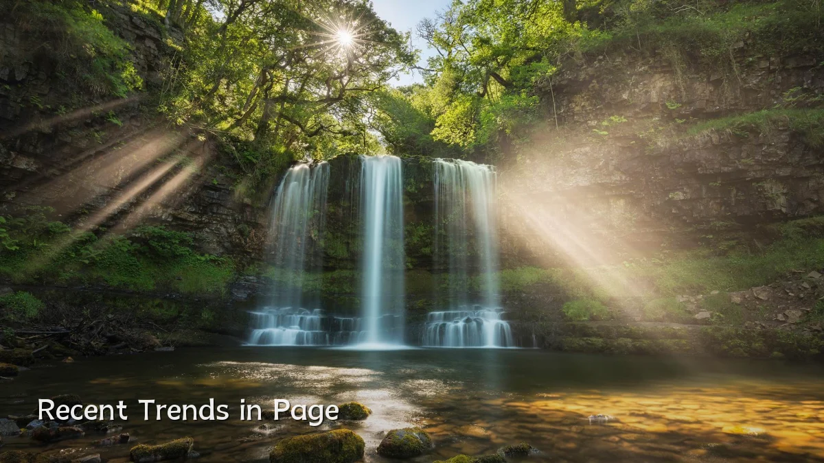 Recent Trends in Page