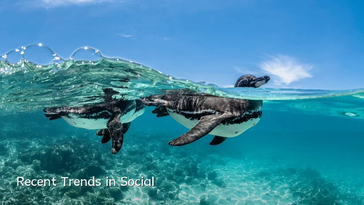 Recent Trends in Social