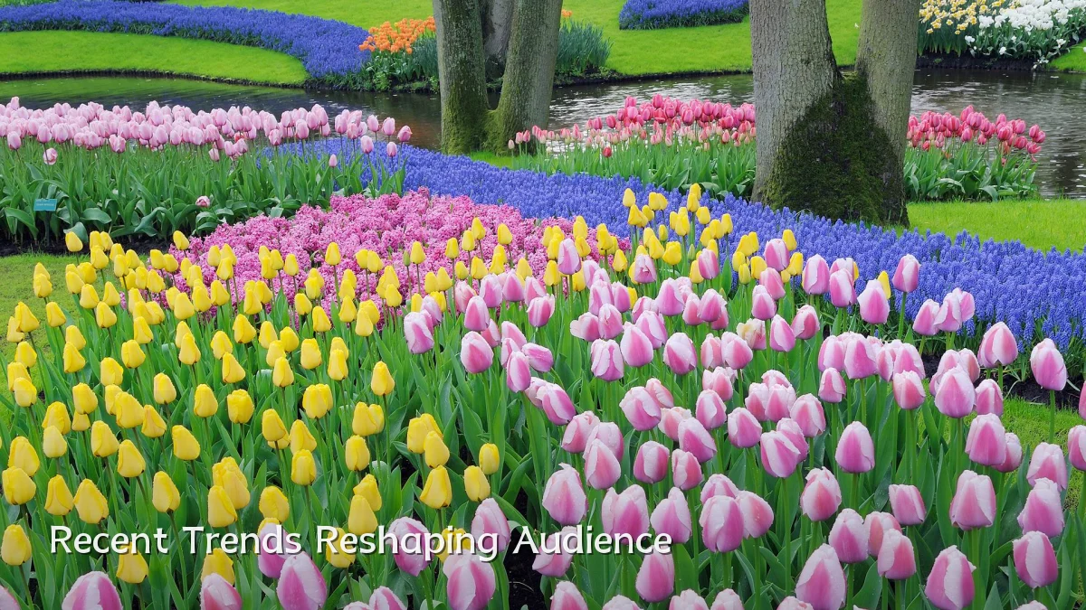 Recent Trends Reshaping Audience