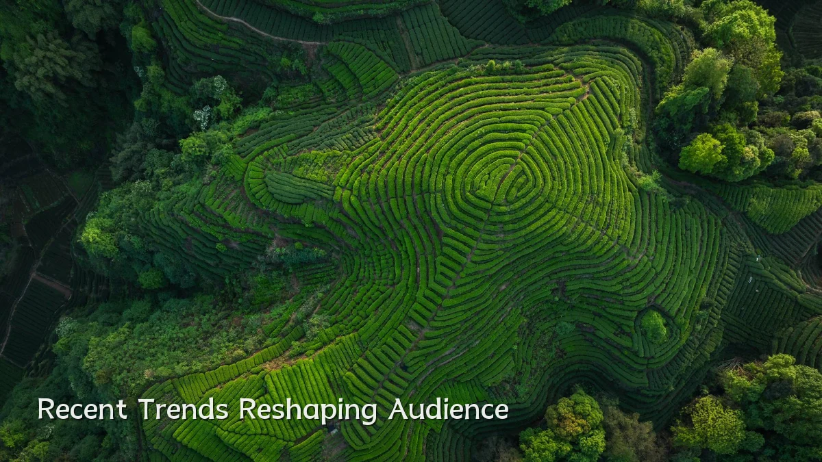 Recent Trends Reshaping Audience