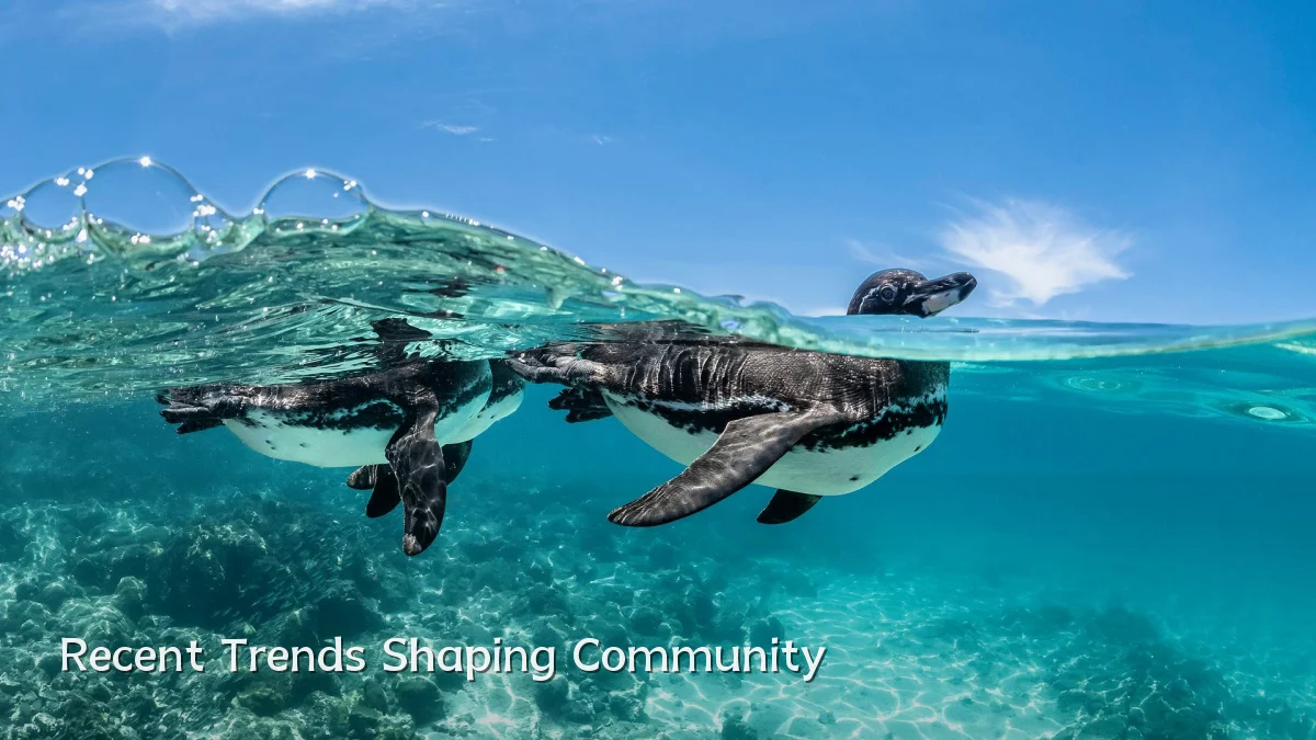 Recent Trends Shaping Community