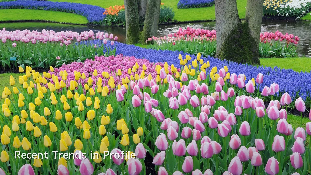 Recent Trends in Profile