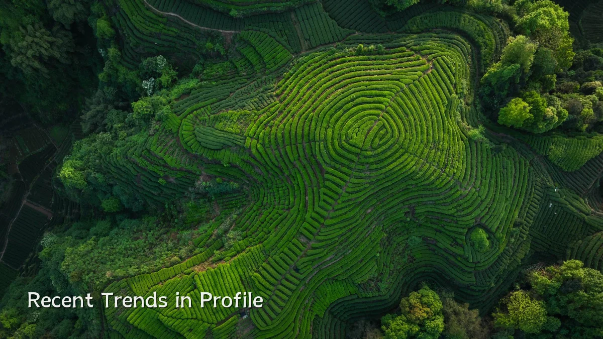 Recent Trends in Profile